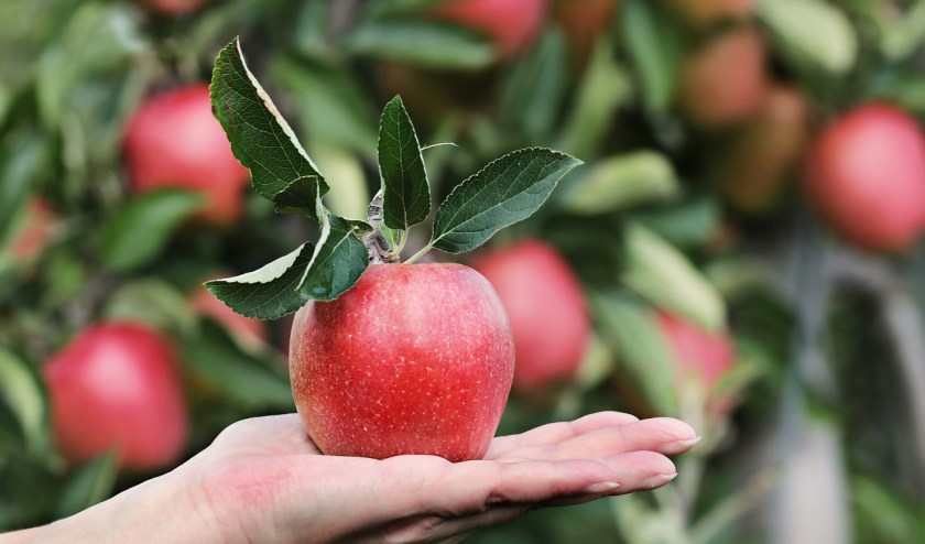 Apples have 10% of the vitamin C you need every day. That plus the soluble fiber you get from pectin makes this fruit a delicious defense against any germ that attacks your immune system. 